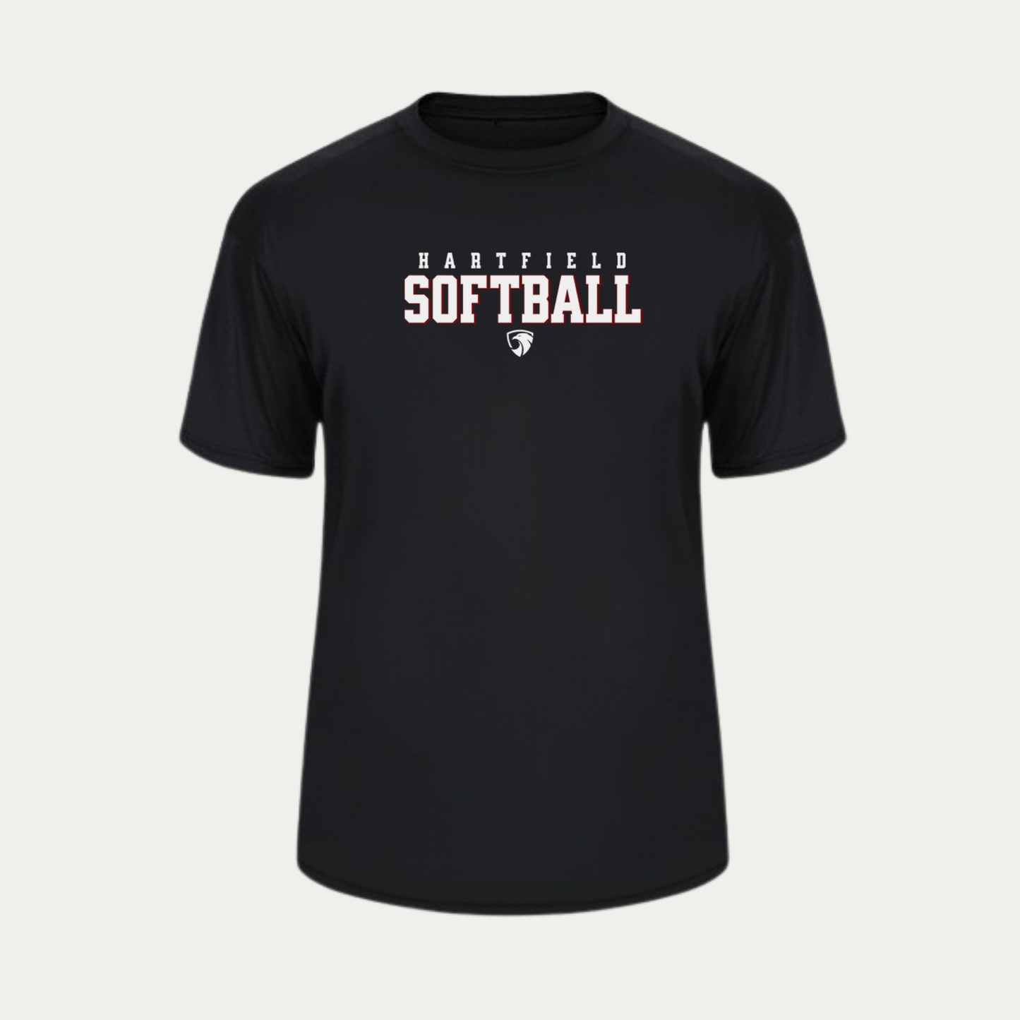 HAWKS SOFTBALL PERFORMANCE