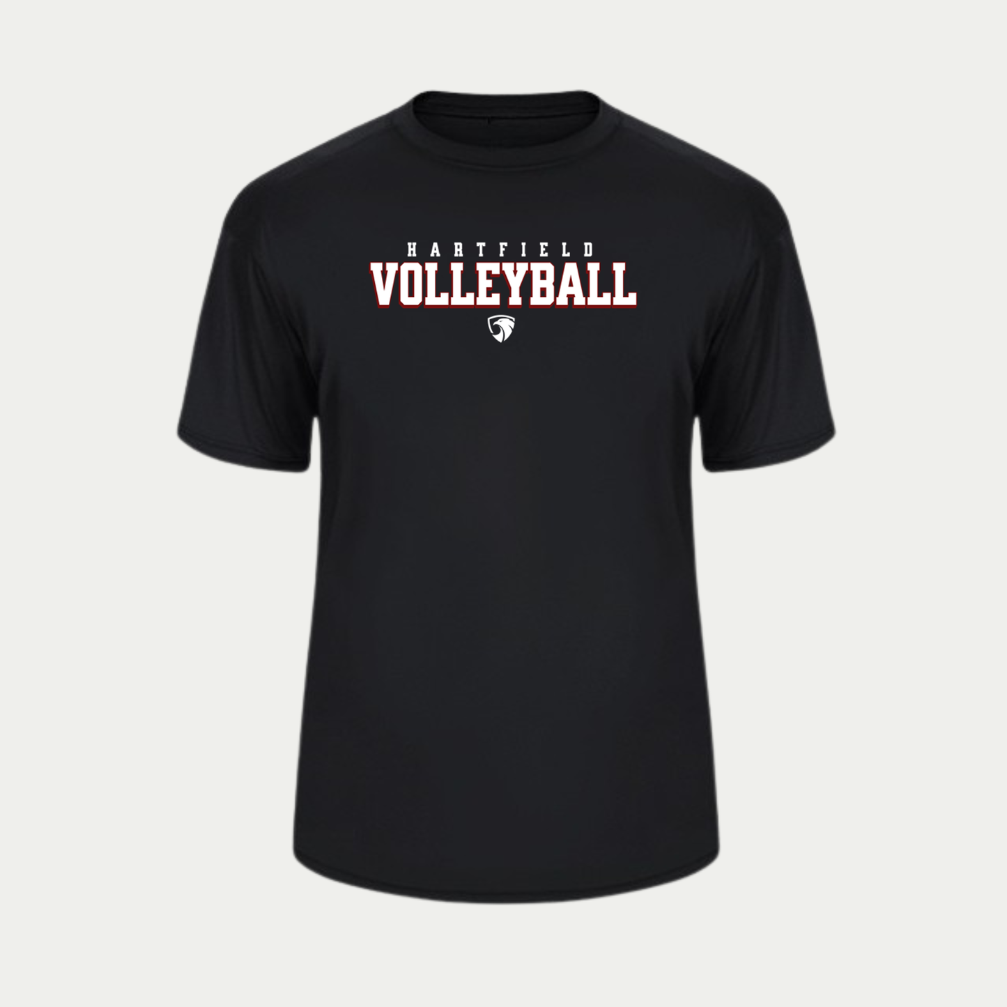 HAWKS VOLLEYBALL PERFORMANCE