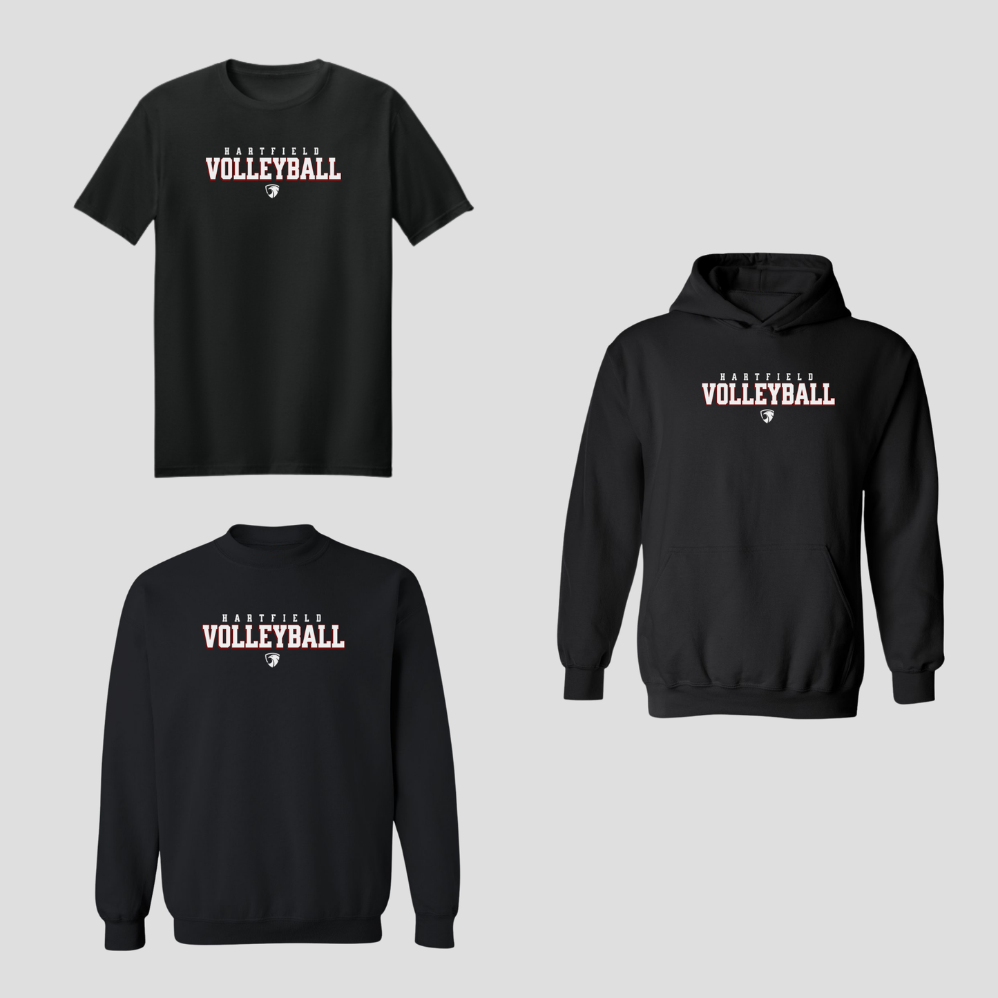 HAWKS VOLLEYBALL