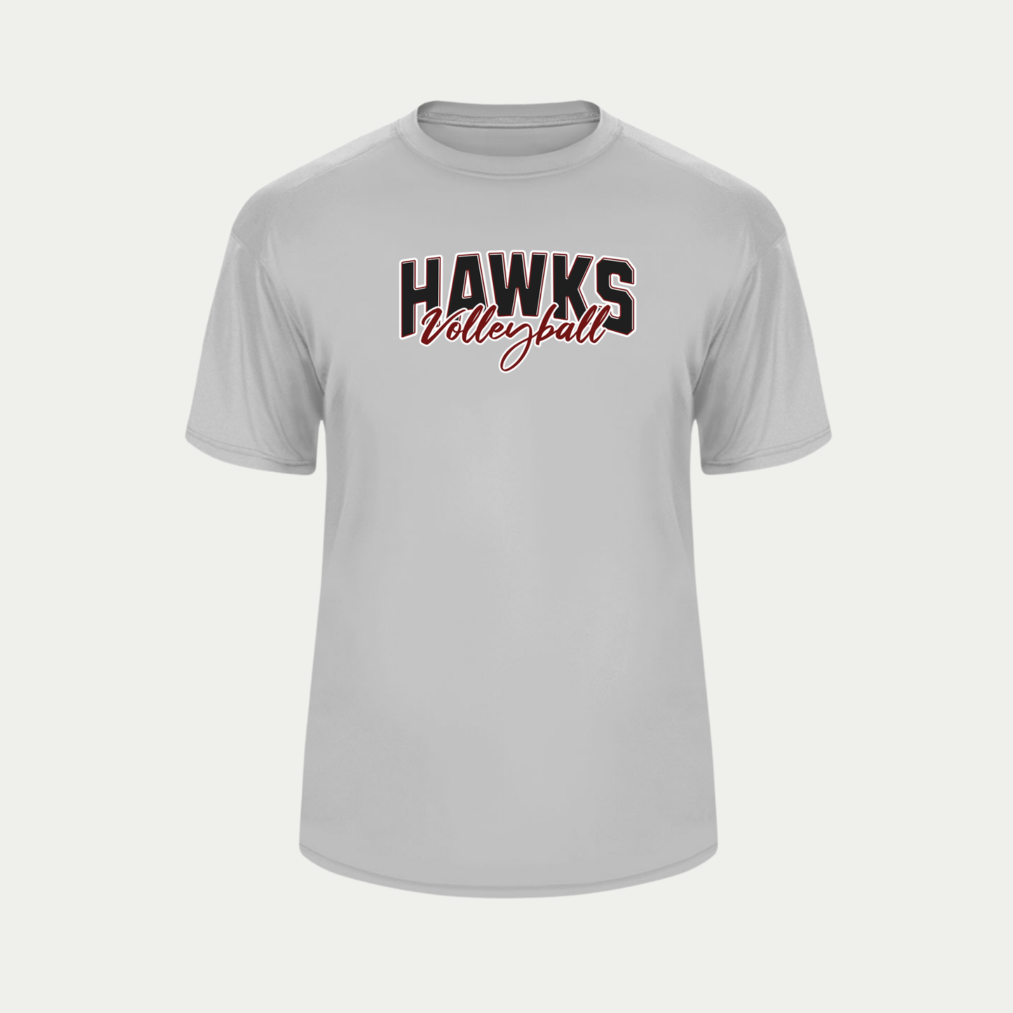 HAWKS VOLLEYBALL PERFORMANCE