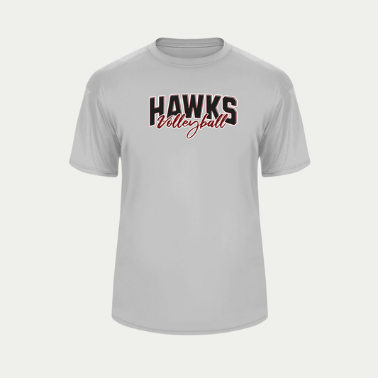 HAWKS VOLLEYBALL PERFORMANCE