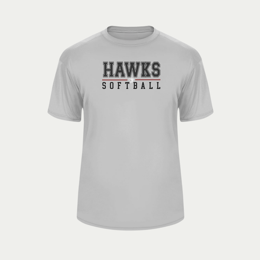 HAWKS SOFTBALL PERFORMANCE