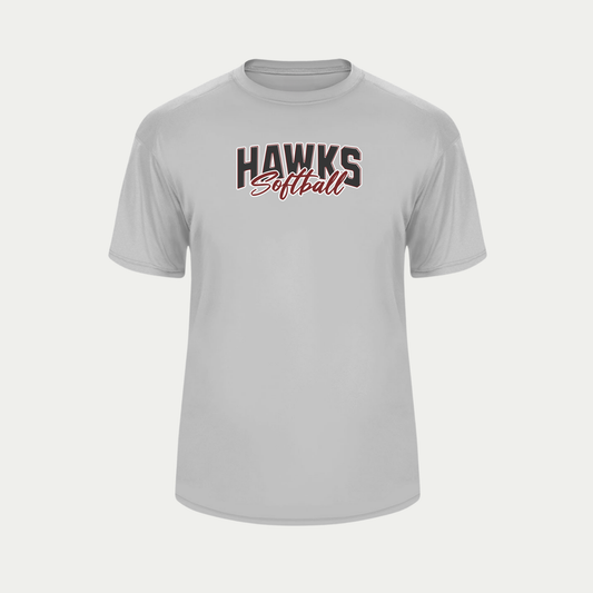 HAWKS SOFTBALL PERFORMANCE