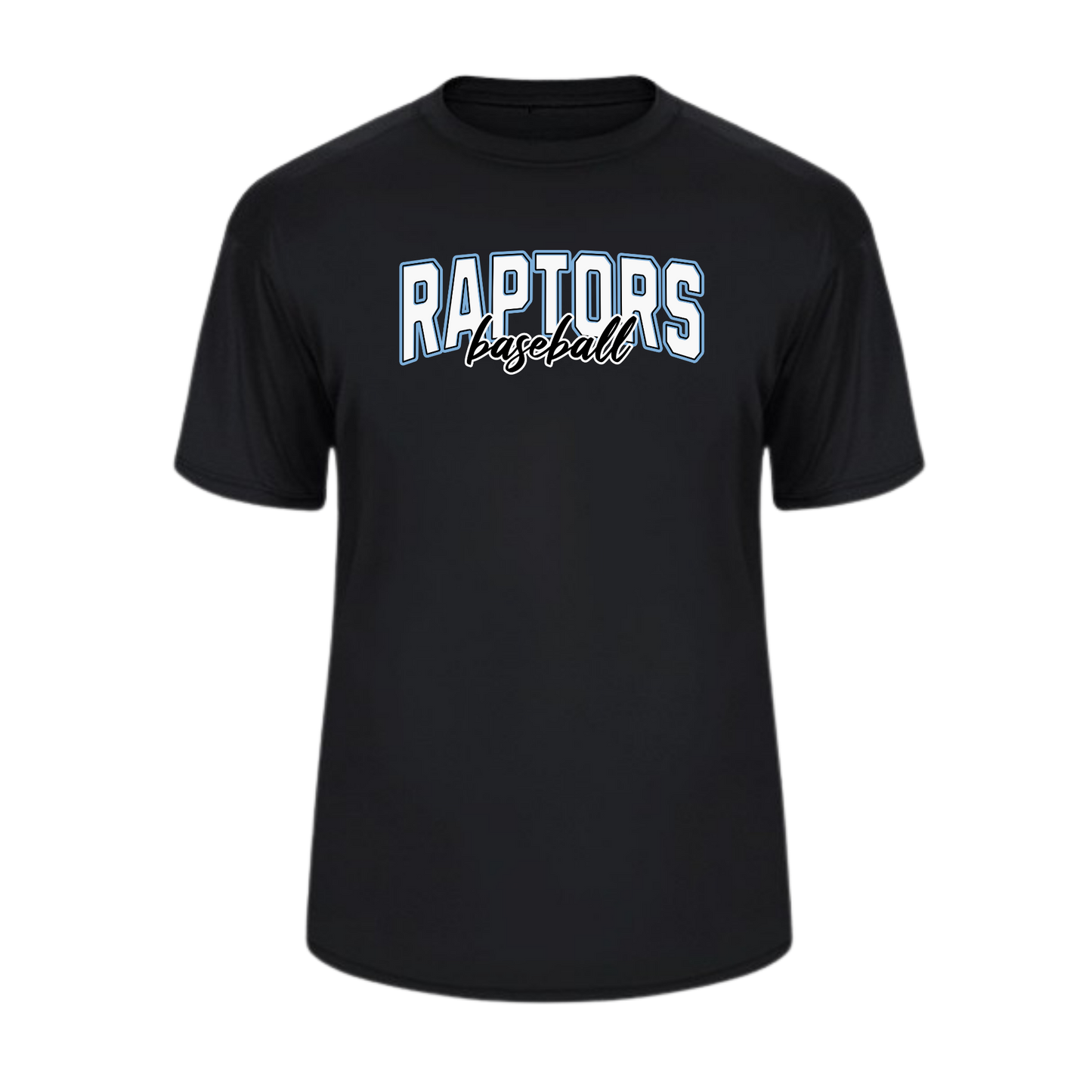 RAPTORS BASEBALL PERFORMANCE