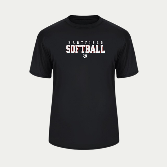 HAWKS SOFTBALL PERFORMANCE