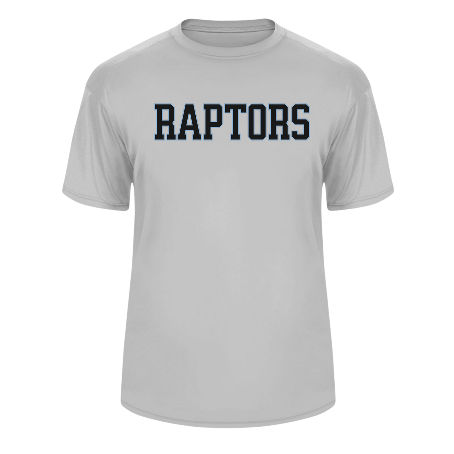 RAPTORS BASEBALL PERFORMANCE