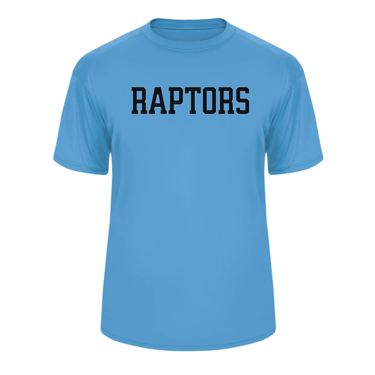 RAPTORS BASEBALL PERFORMANCE